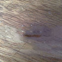 925 Sterling Silver Round End Cap with Hammer Finished with Jumpring