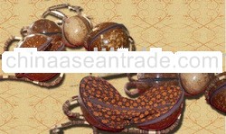 Bag from coconut shell