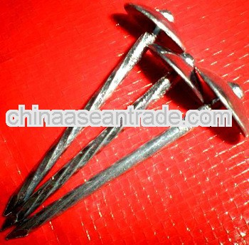 umbrella head Roofing Nails