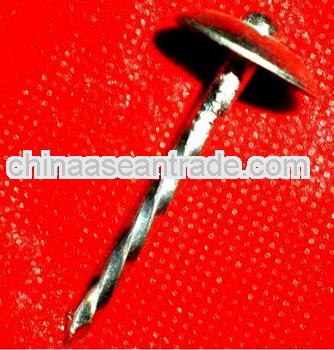 umbrella roofing nails factory