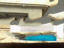 Agarwood SP3R - Production 2