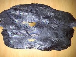 HD Indonesia Coal