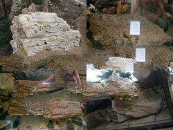 Variety of Natural Stones