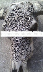 Skull Buffalo Carver Animal hawk