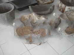 wastafel batu fossil stone