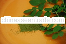 Moringa Powder