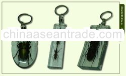 Beetle Key Chain