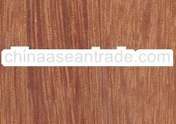 Tropical Timber
