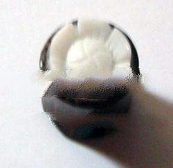 Organic Body Jewelry