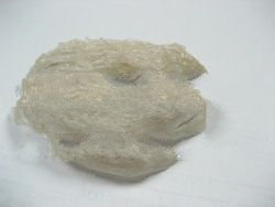 Premium Bird's Nest Strand