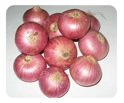red onion