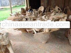 Teak Root Table Big