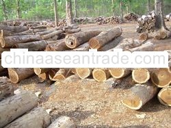 sonokeling logs