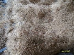 Coconut Fiber