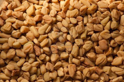 Fenugreek Seed