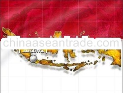 INDONESIA STEAM COAL +COAL MINING CONCESSION