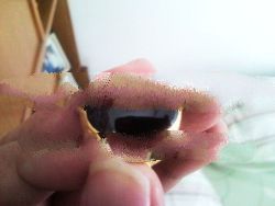 Rare Stone-inside the Stone inscribed the name of God or Allah (Facebook -> Silvester F Ary W)