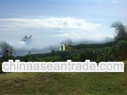 Land for Sale in Hill of Senggigi Beach Lombok