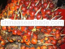 Crude Palm Oil and downstream products