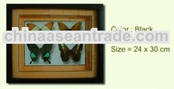Butterfly Frame