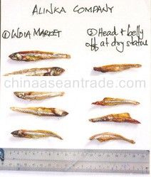 Alinka Aquatic Products