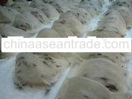Raw bird nest from 