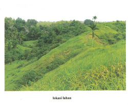 Land in Bali 