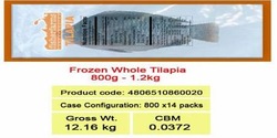 FROZEN WHOLE ROUND TIPALIA