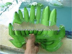 Cavendish Bananas and Pineapple