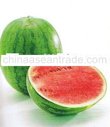 Water Melons Fresh Fruit from Thailand 100%
