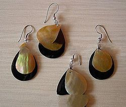 Shell earrings