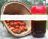 n Crude Palm Oil