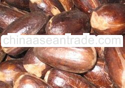Nutmeg from 