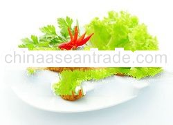 Dim Sum Product - Otak Otak Seafood Cake