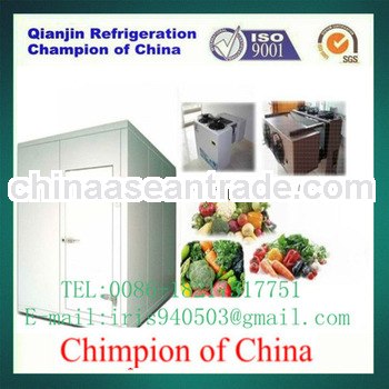 walk in freezer room for meat/foods