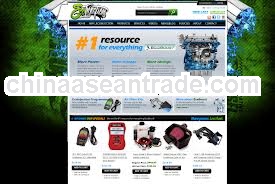 web site design development