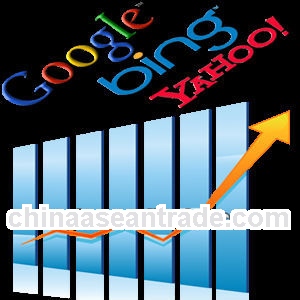 website seo, professional platform service