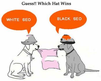 website seo services with ECCIC