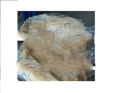 Salted Jellyfish Body-Pearl / White Type