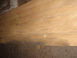 Veneer