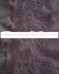 mukena kerancang bukittinggi