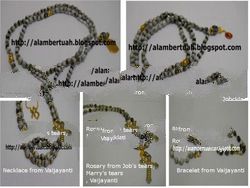Vaijayanti, Job's Tears, Marry's Tears Prayer Beads