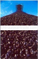 STEAM COAL
