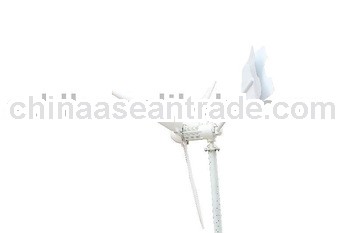 wind turbine P-3000W