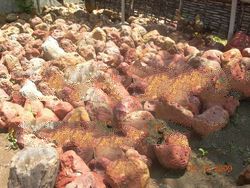 Red Jasper Stone, Garden Stone
