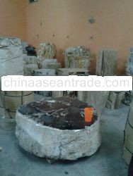 silicification fossil stone