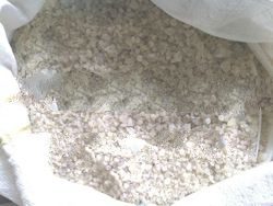 Gum Damar CD export and Good