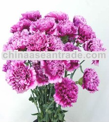 Flower Shop Makati City