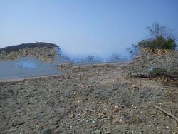 Land for Sale in Sekotong Lombok