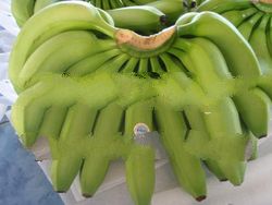 Cavendish Bananas, Fresh Pineapples, Banana Chips and Pomelos